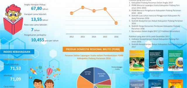 Gambaran IPM dan Pertumbuhan Ekonomi Kab Padang Pariaman Tahun 2017